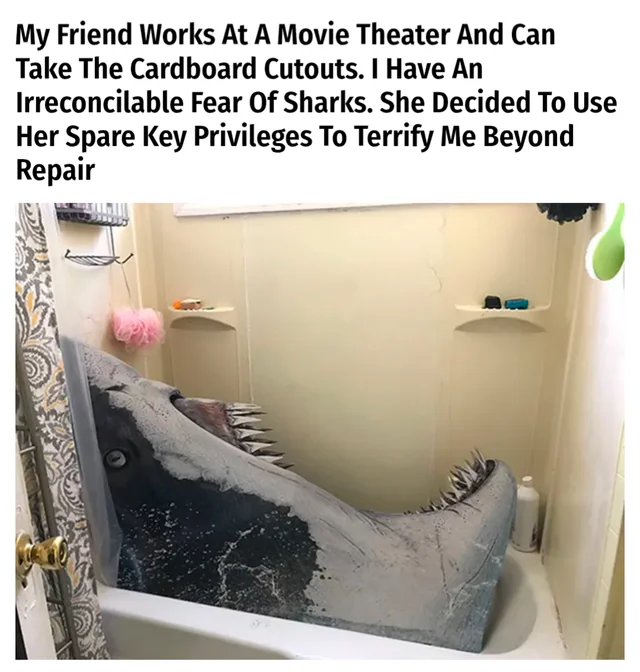 2e6c747e-9a1a-4977-9f73-ed3287d8f12b