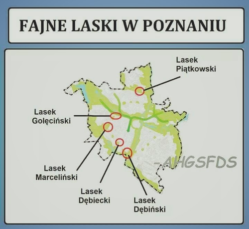 10544300-f7cf-426d-8cd1-9a0328d874d6