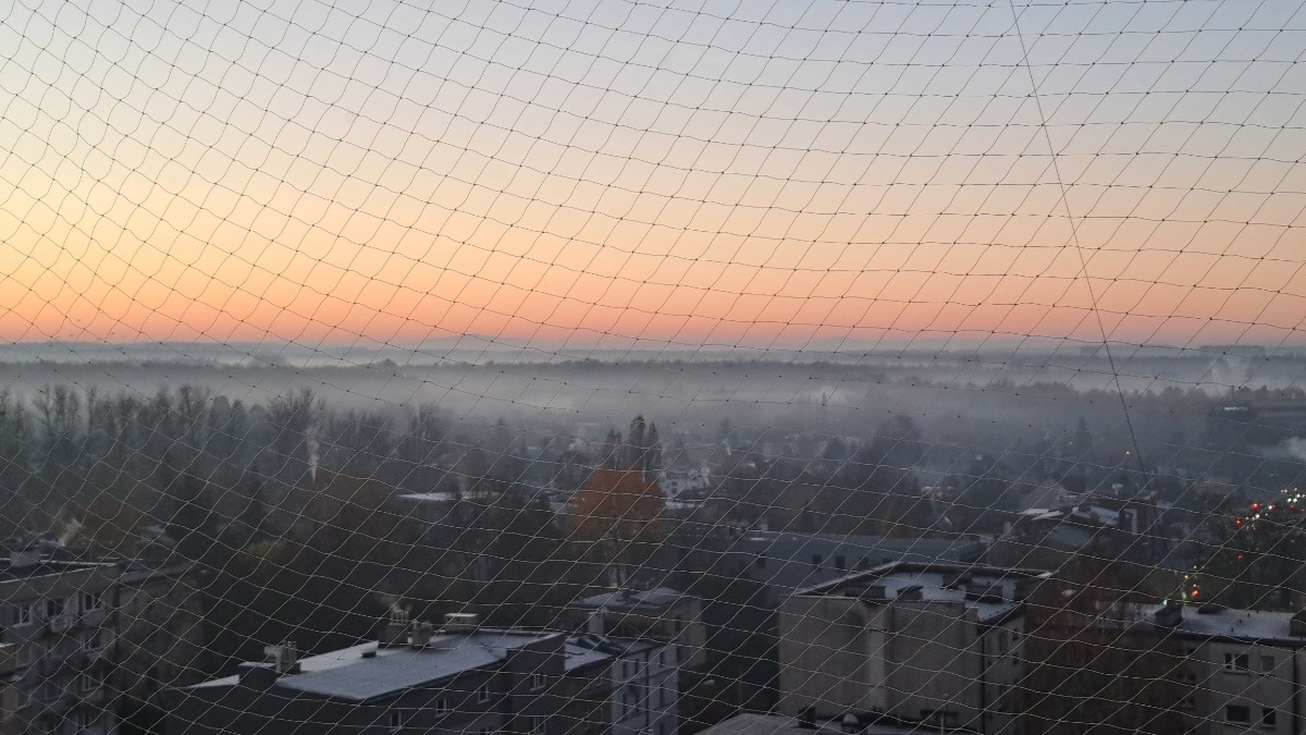 cd6ad167-842e-488f-9ae1-e89eef8ab35c