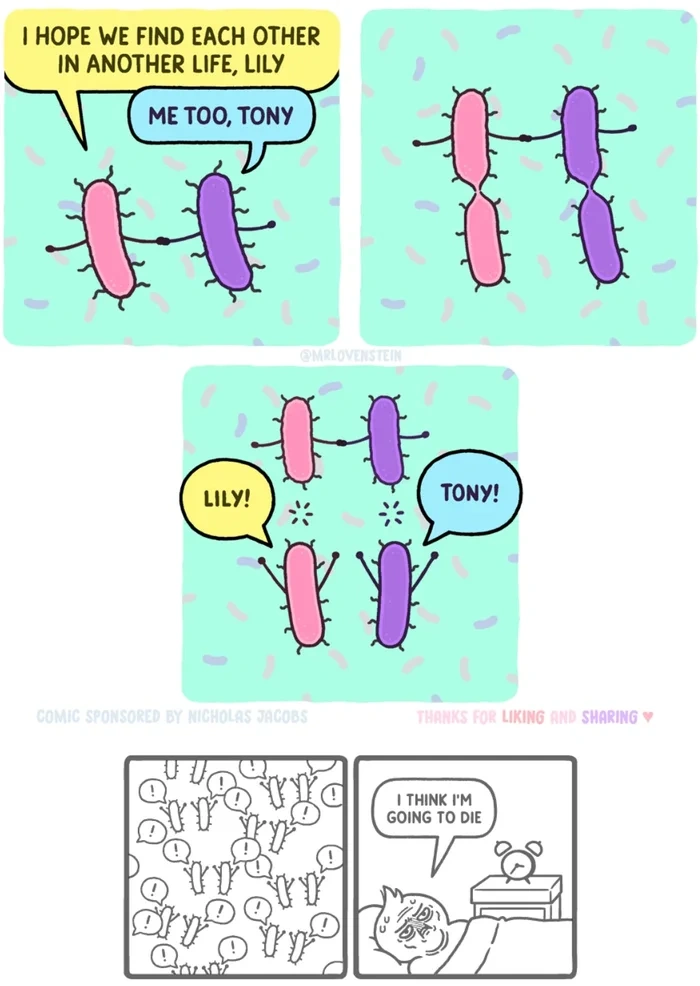 98f6daef-aed8-4ffd-a5a5-f32f560d0118