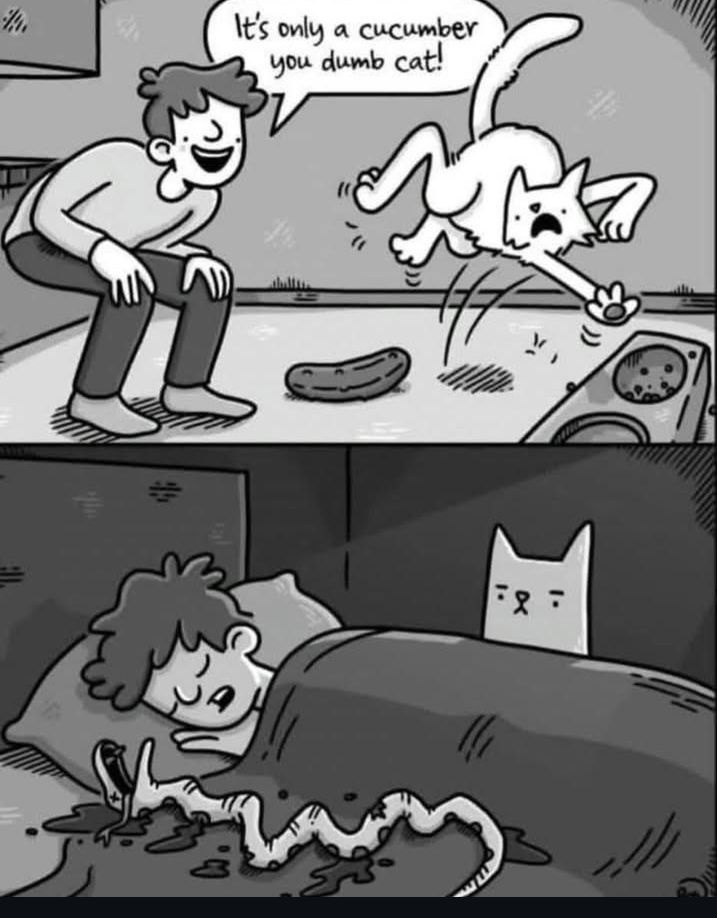 2dc5eea1-f540-4850-9509-56821cb7dd3e