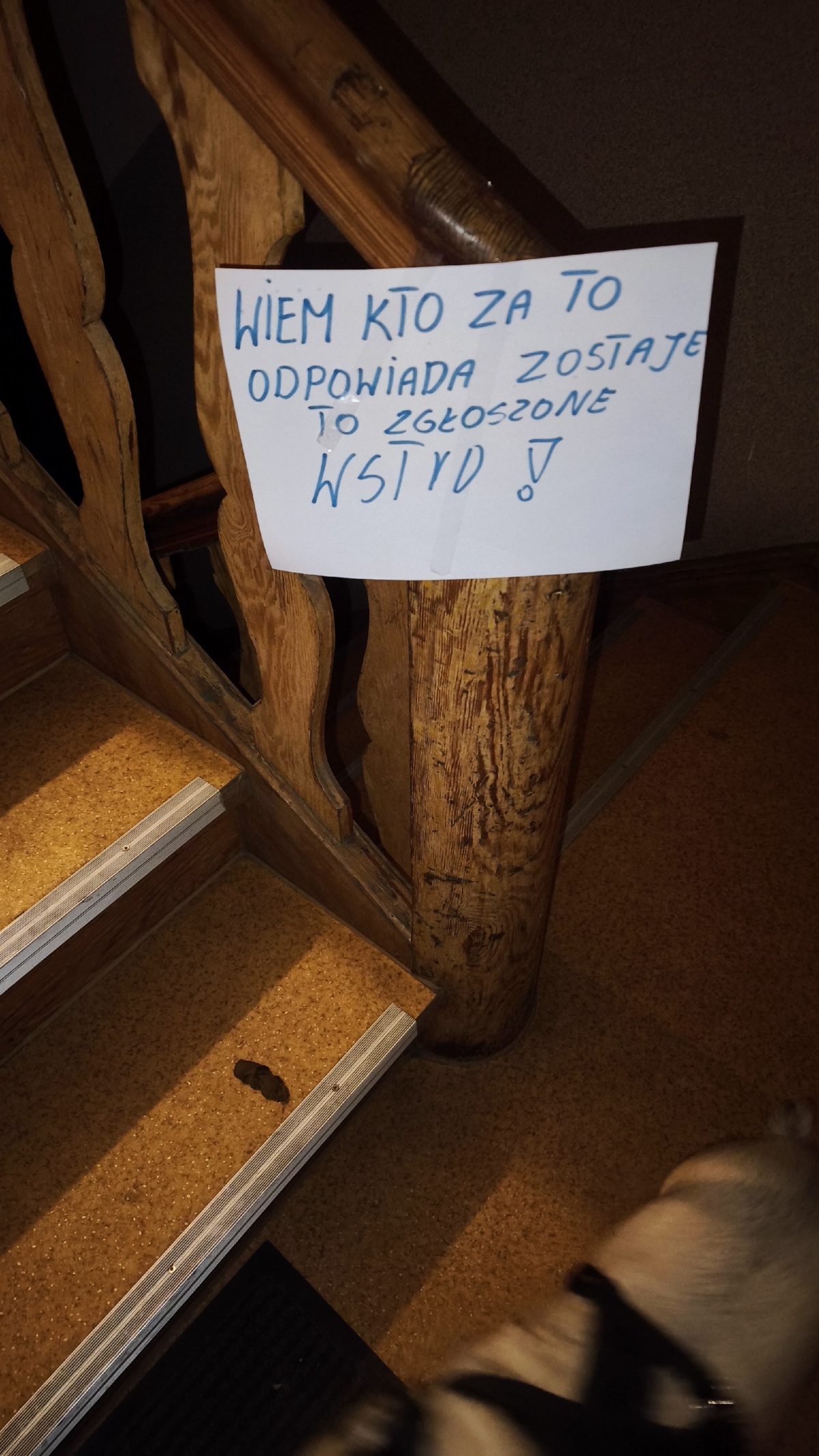 d1233e55-62f1-4018-998c-52b5e466c4bb