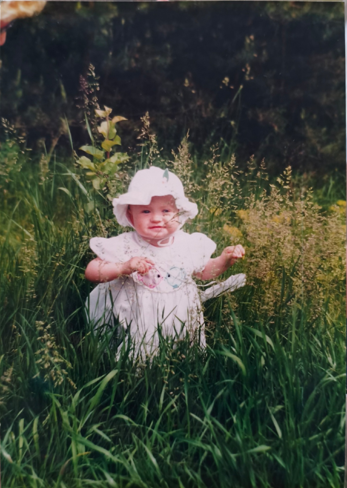 d913ec5c-732b-46a2-b310-2f8104cb2850