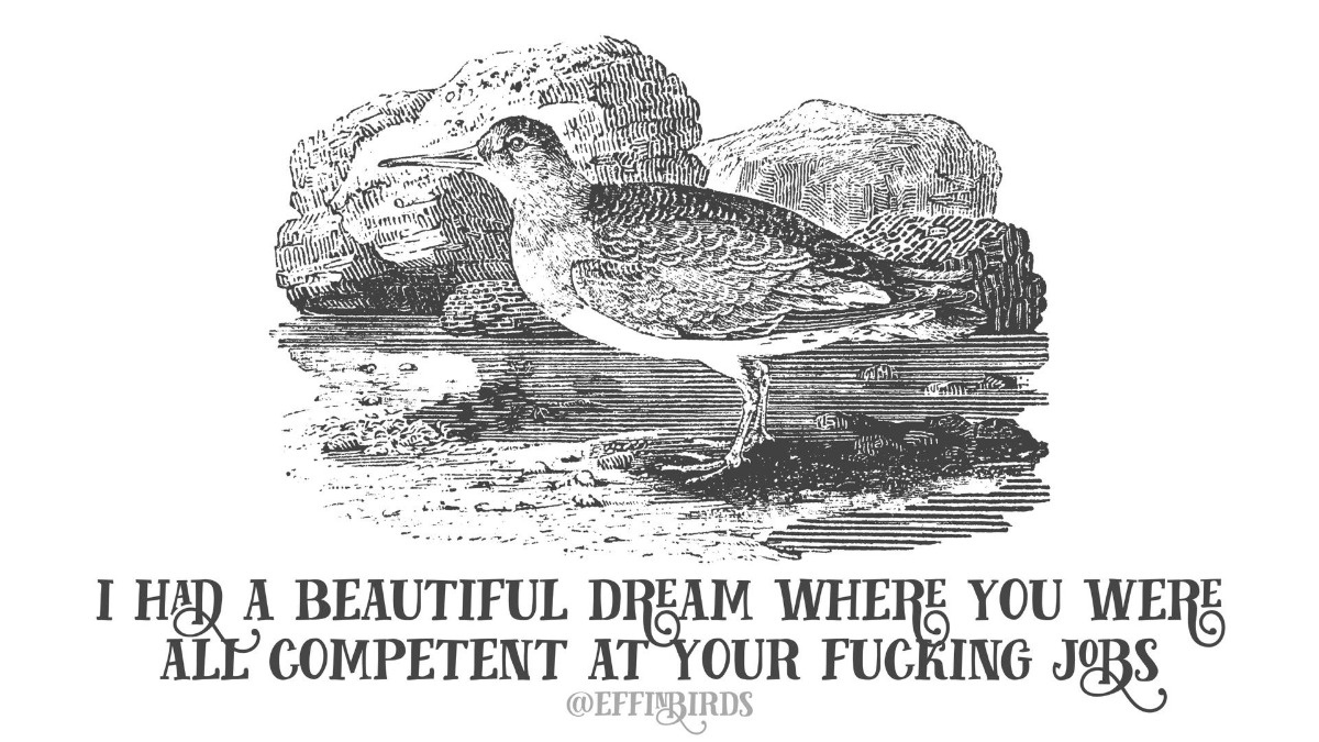 17fa5f6a-5de7-4f24-823a-ad19d0524aa0