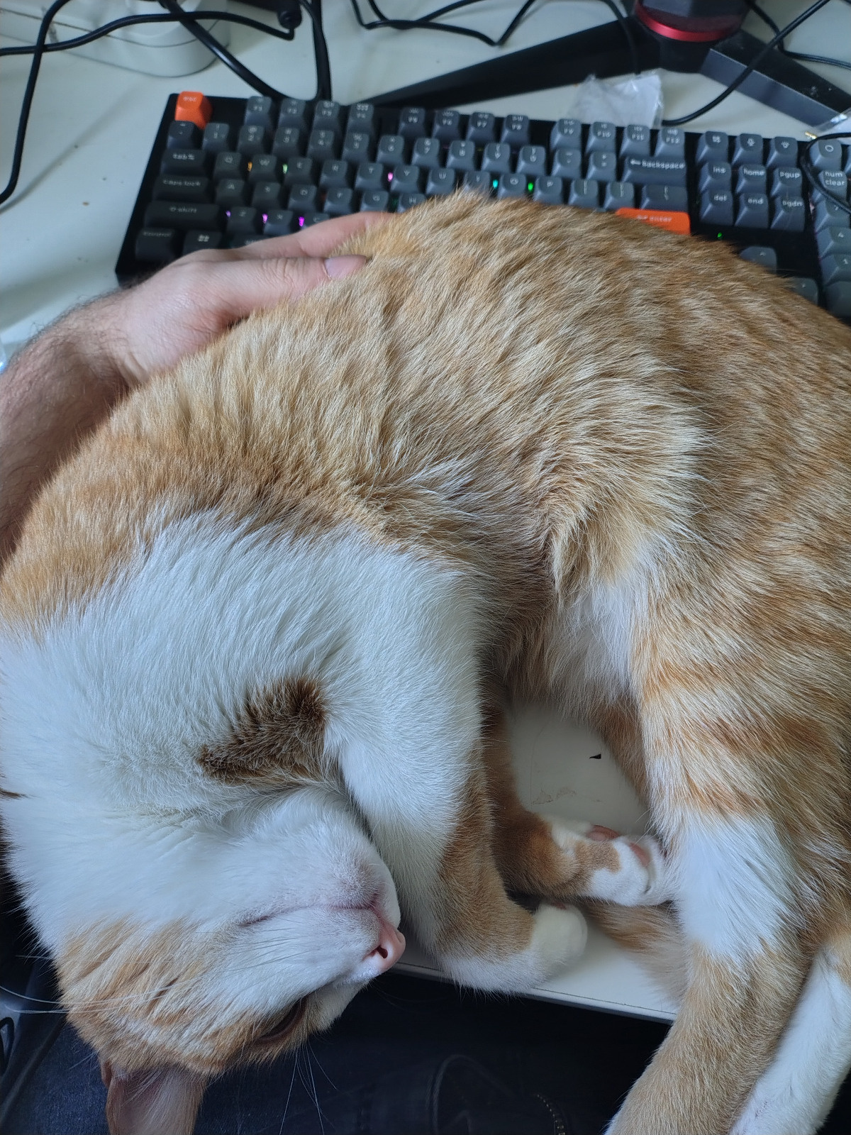 eed8826f-c559-410a-83b9-4ea963dbd22e