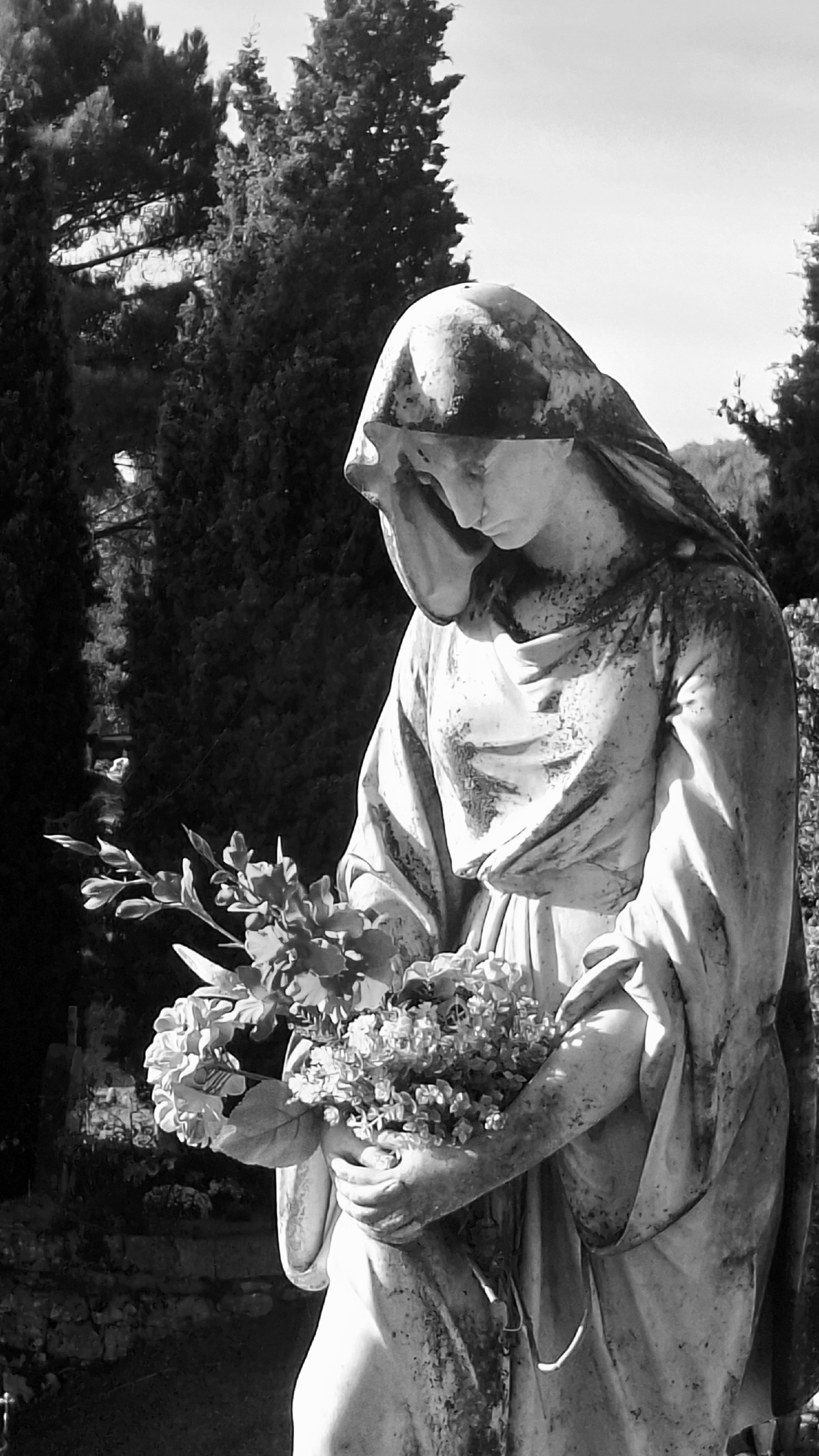 e9b0798b-f437-4451-9a04-6f0738f51309