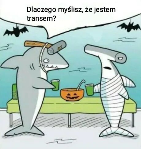 52b0a79f-f6b9-483a-a170-2b10606b7c42