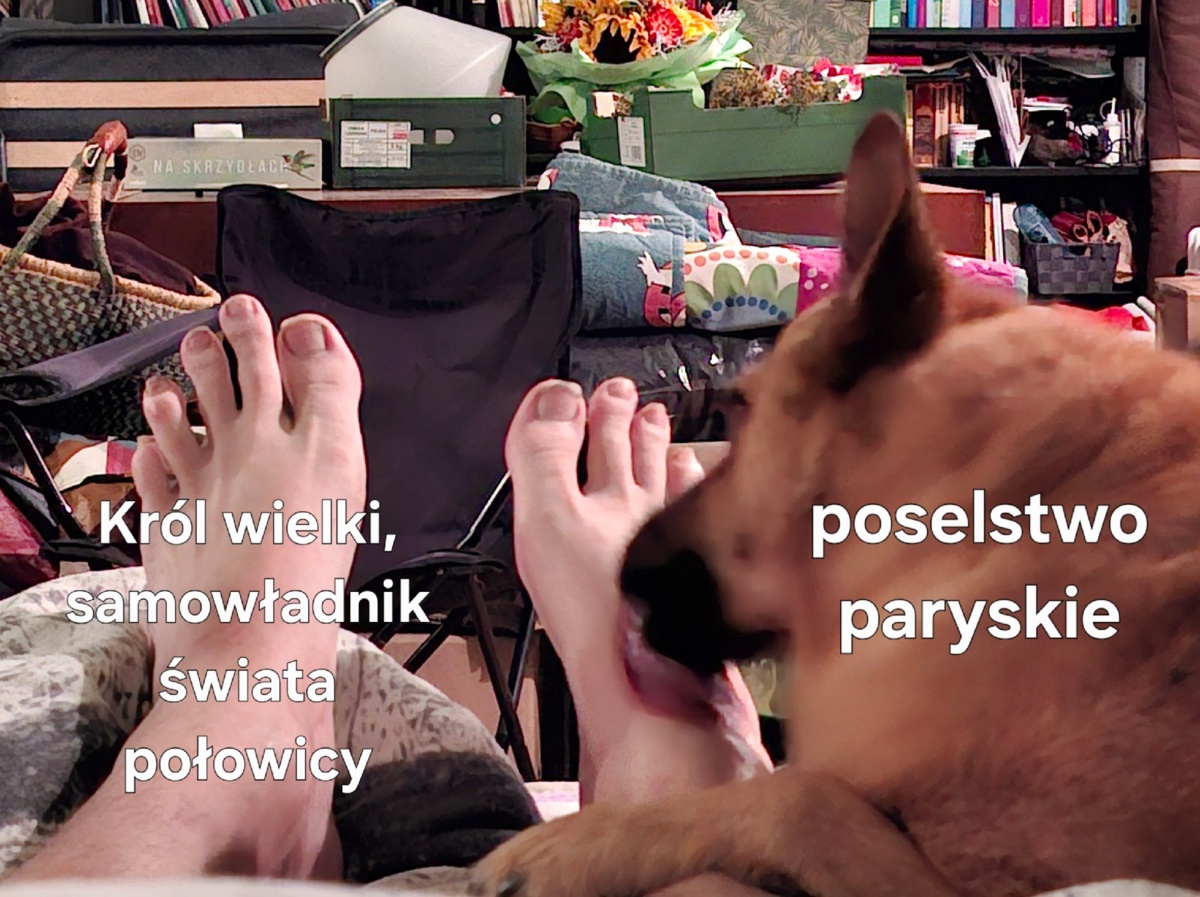 3333fc75-4051-4a35-910a-8d77a6b444f8