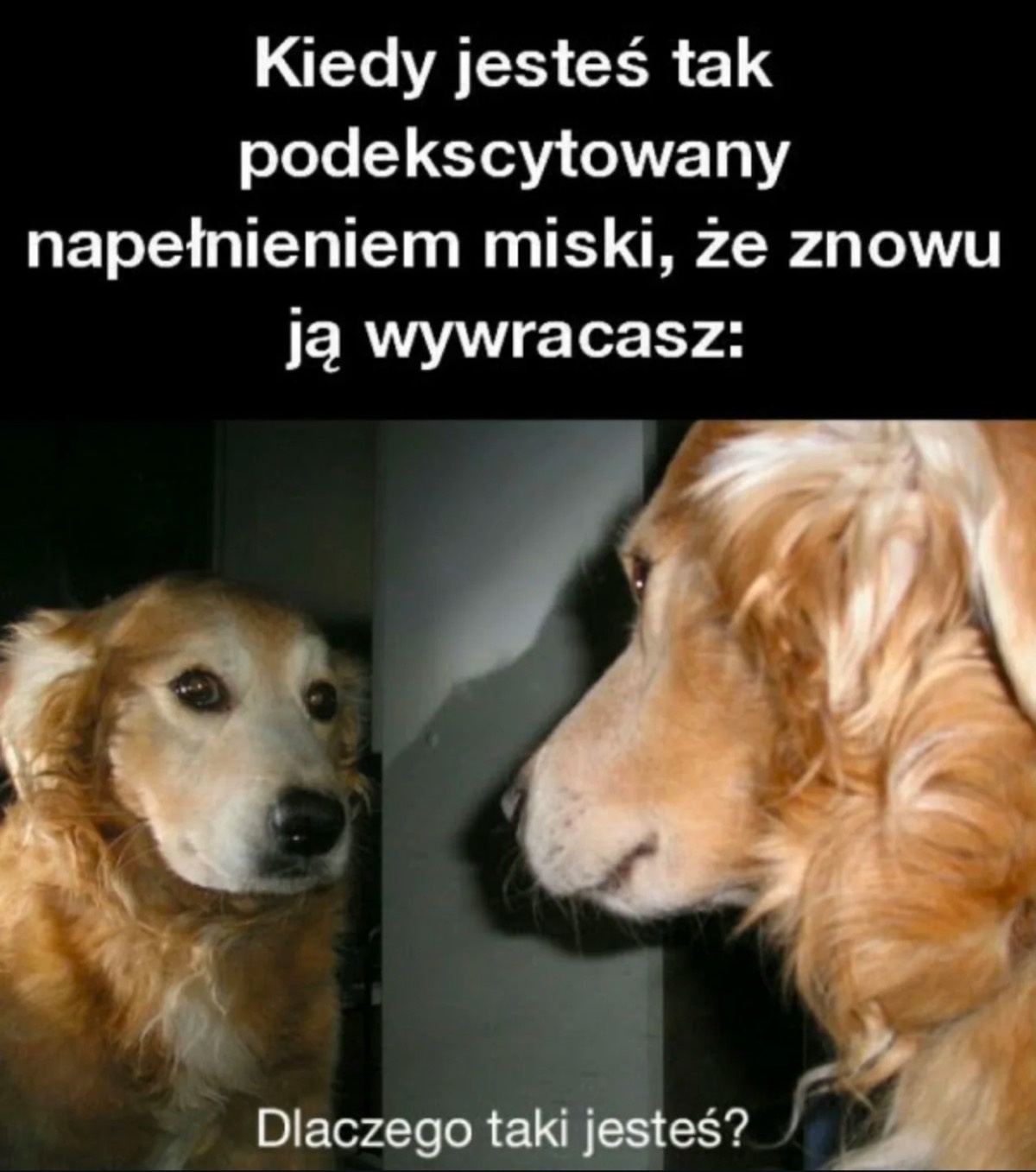 259976cb-10c9-4f95-8c37-fa7b3ad4c836