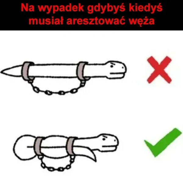 a863816d-50ee-4a96-88d5-ae6e72a6fdbe