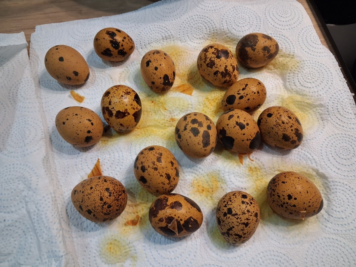 3233fe71-b029-4c79-8308-fa6c1c070277