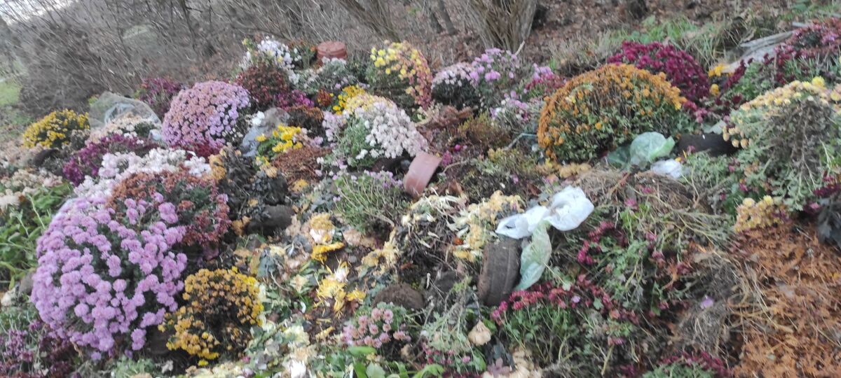 0b7bb070-20c3-4716-989c-2d03f30b2be4