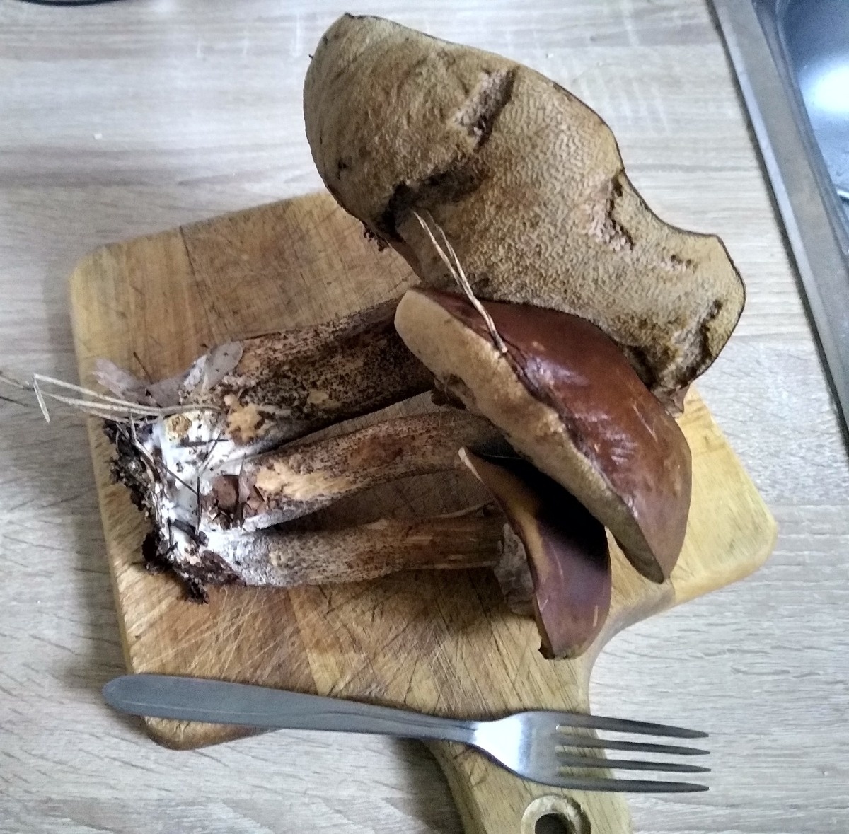 3f21d67d-1eb3-4c1d-9eb2-903c58a49354