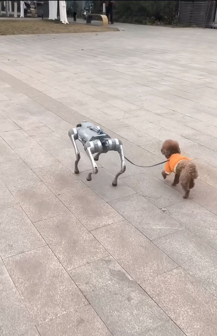 620d45ed-1a4e-4b60-a50a-b336c268900b