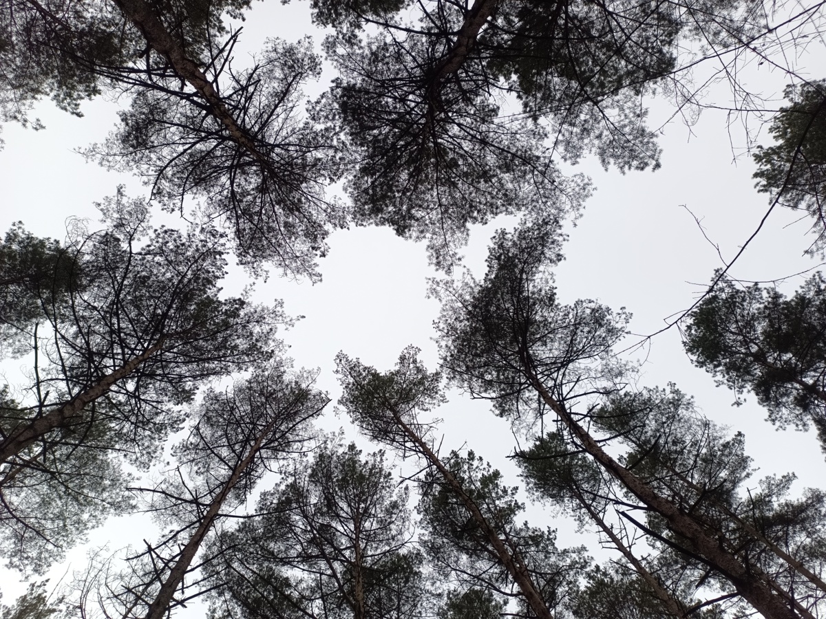 7e3fd9d8-1676-47d0-a6c4-366aa1fc31a9