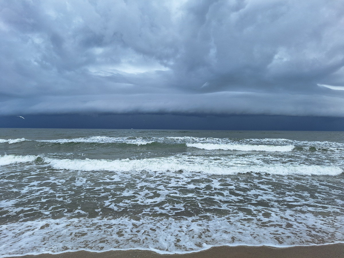 d04be48c-275a-45d0-9e94-5bb781aceee7