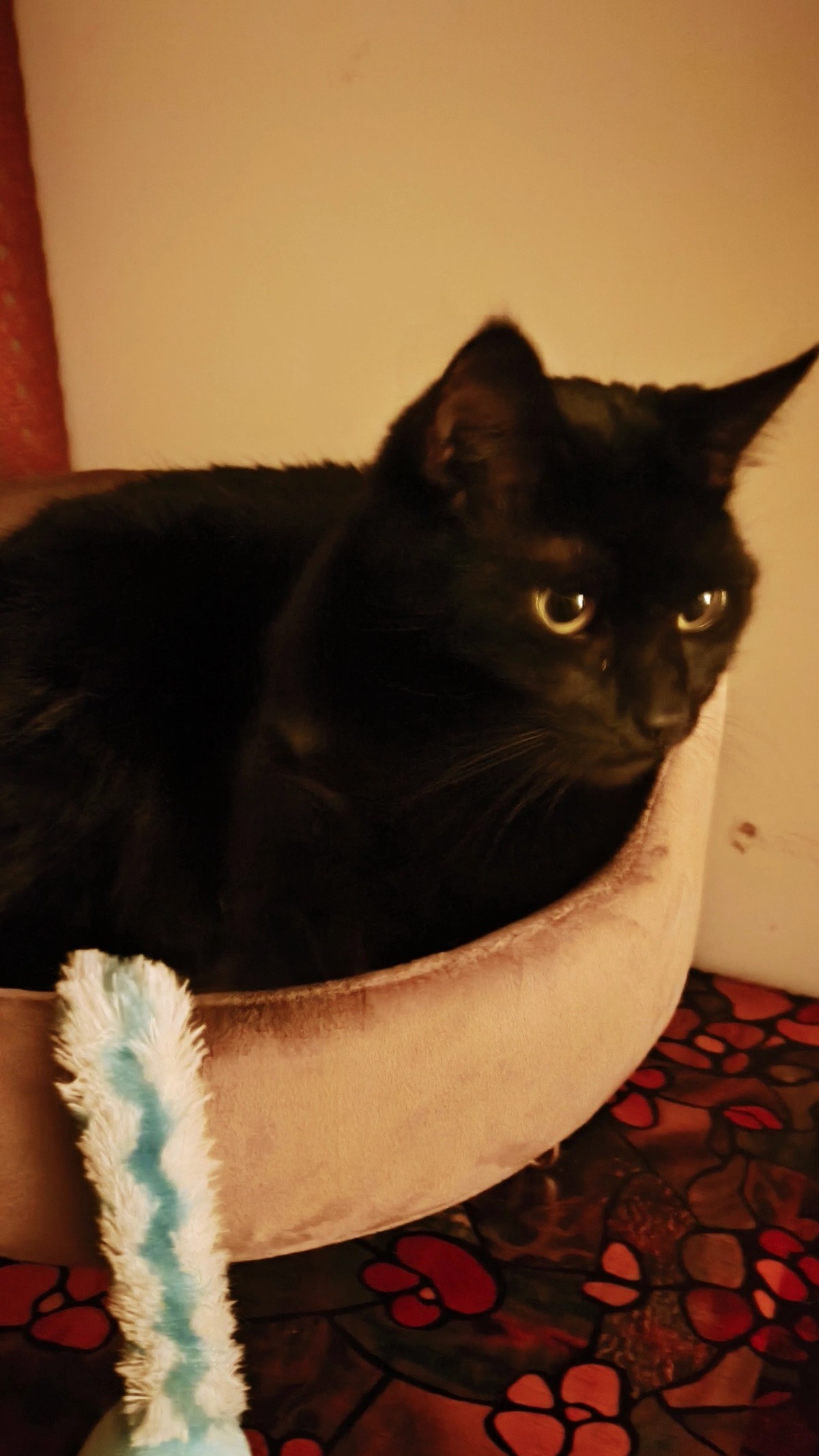 9d877b2f-457f-4c5c-ab69-fed4d413109b