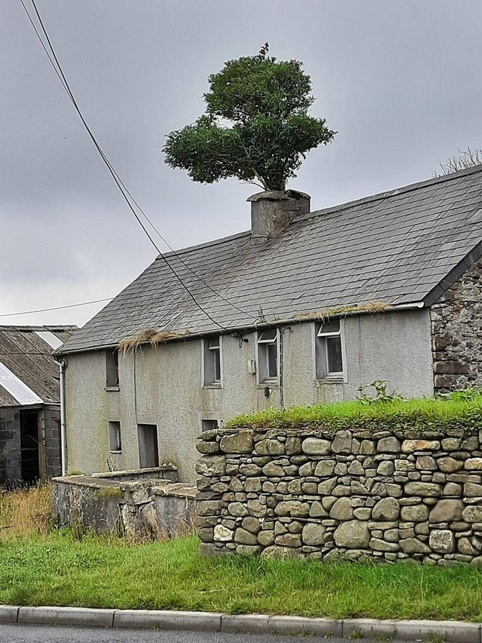 f50b0ffd-e0de-4403-8141-6b3e69695ee5