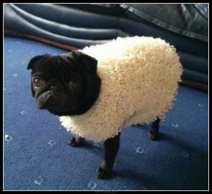 ccda855a-a22c-4f99-aba1-1e54f37afbdd