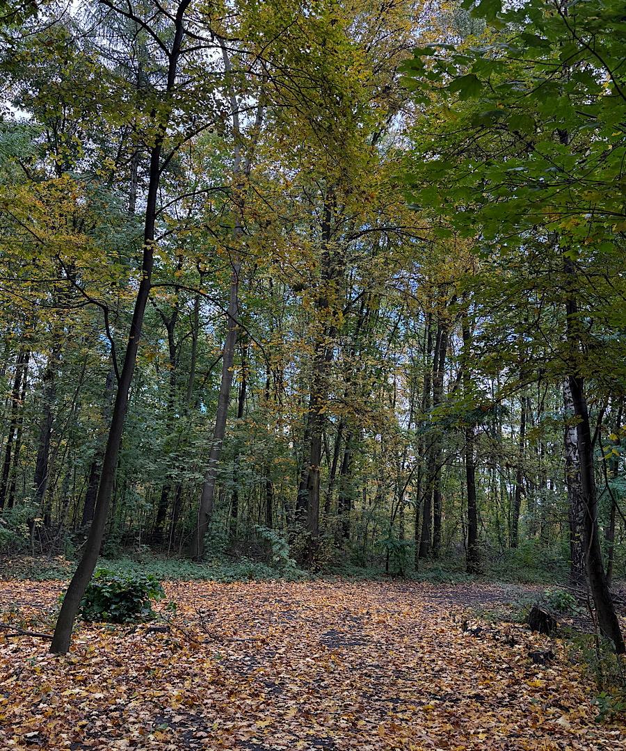 d82aa431-2032-489e-8775-df96460bab4c