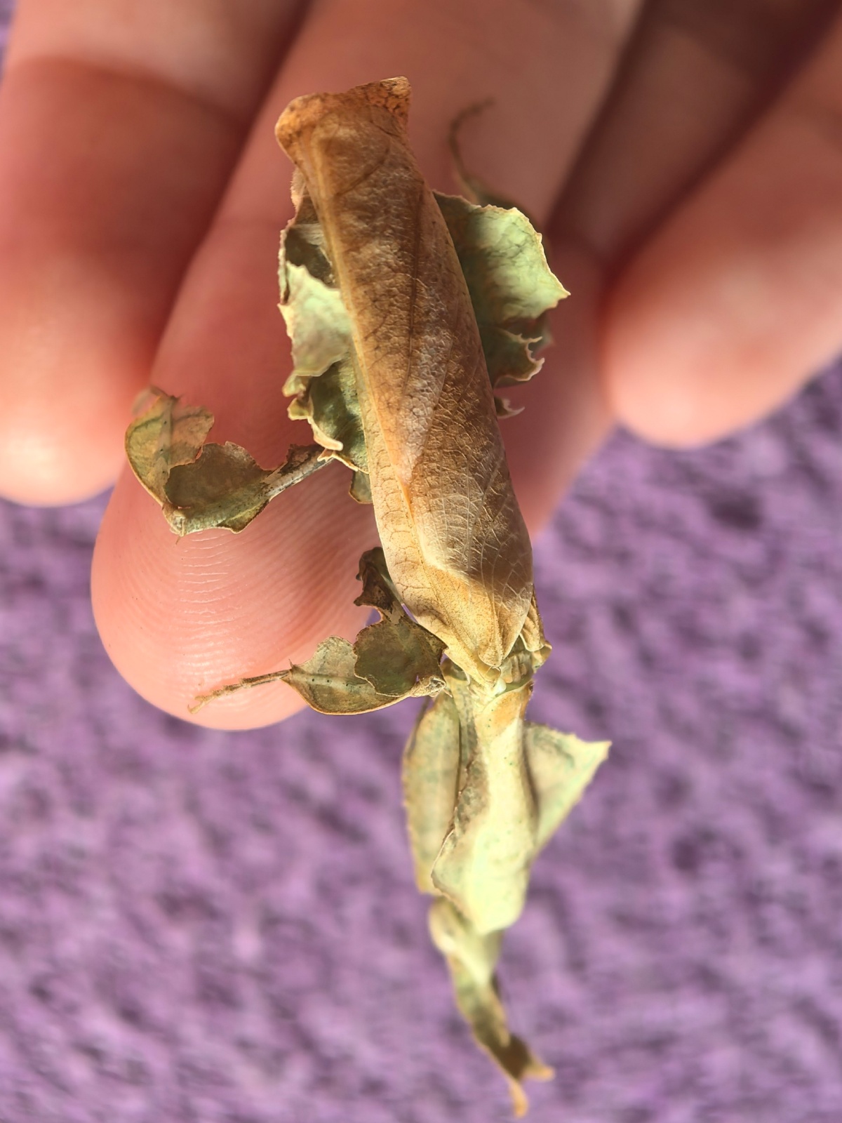 43d7273f-dd99-421a-98e8-d7996ddf990a