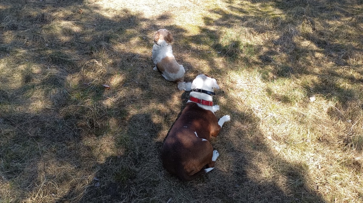 70196013-daa6-42a0-85ee-cf0400ae2e32