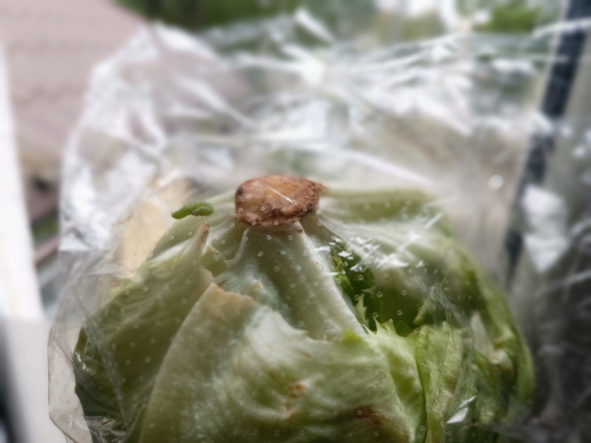 f2864516-93a4-49a8-aa8c-e3d19a8a2c4f