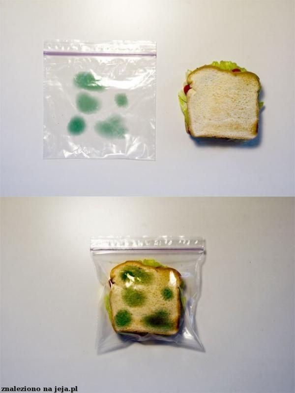 da54f1ac-c663-4deb-bf31-547a25b68c17