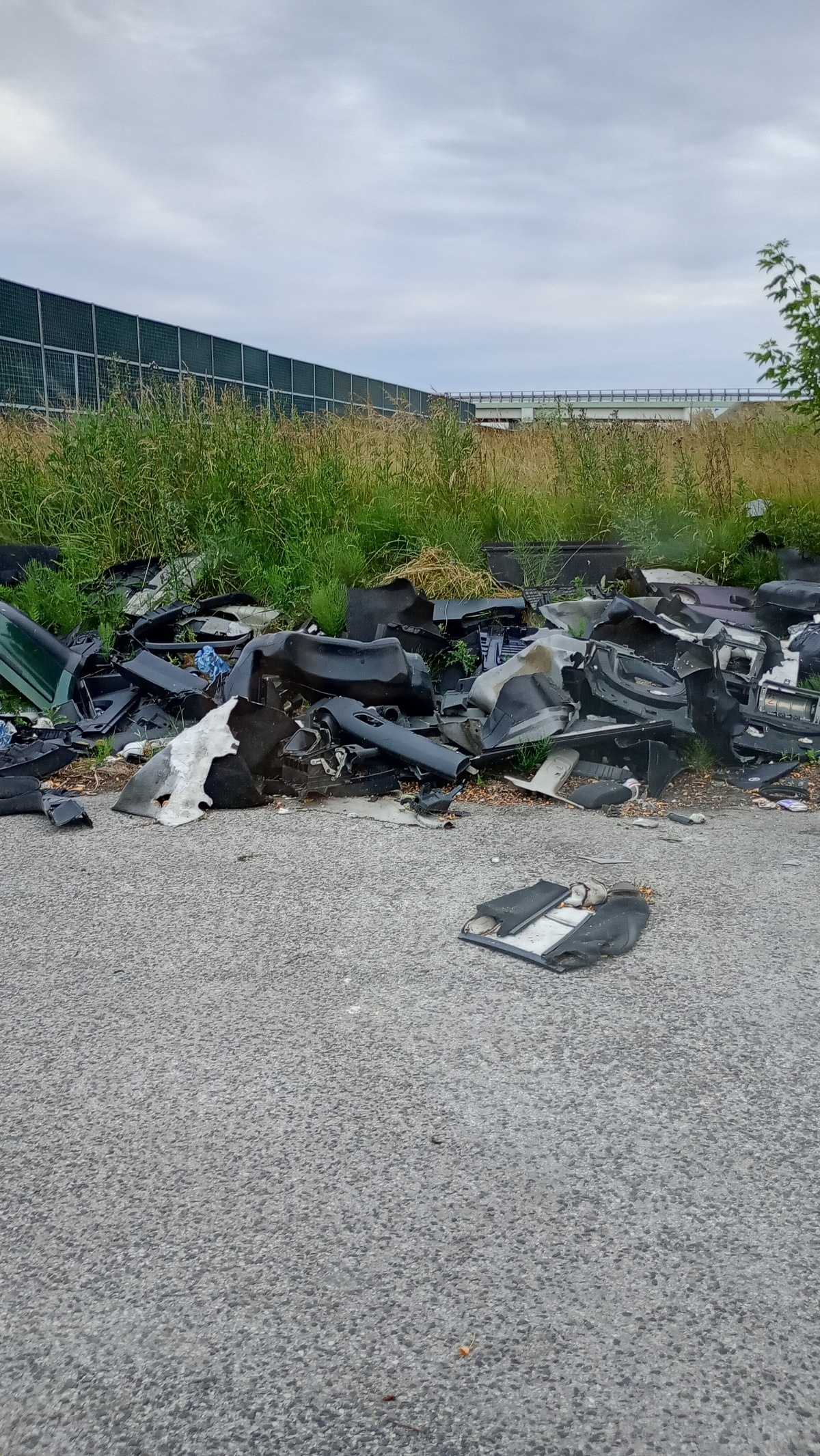 9ba7819a-a9a6-4fbe-a82a-788c18c86949