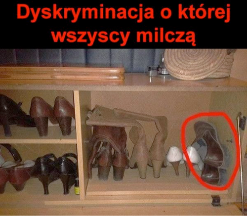 fff68a8c-4683-4576-969e-e059410cf9e9