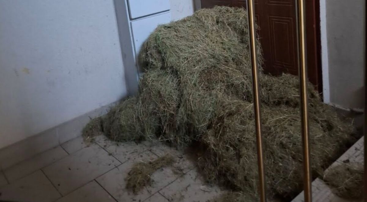 Siano na klatce schodowej, "walka lokatorów". Administrator budynku jest bezradny