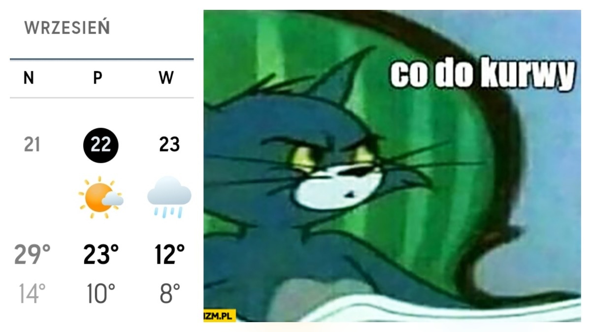 0a91a36c-a161-47b2-810a-352ceb1c9e6c