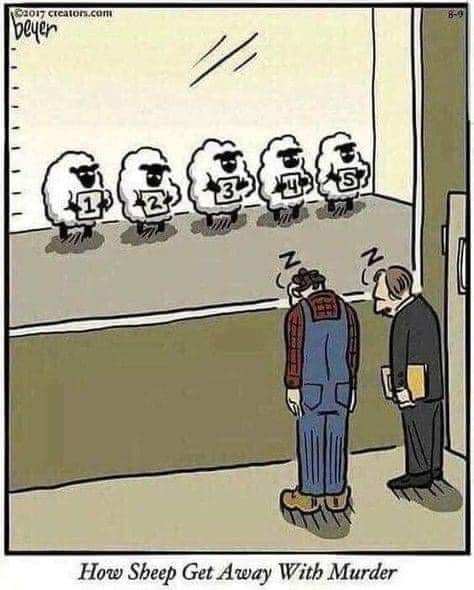 48f10c4c-68a3-4764-b98f-0ab74c50bb77