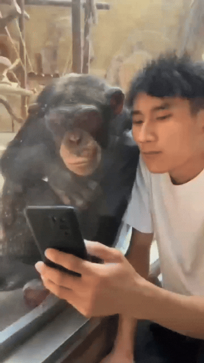 627ee782-95e3-416a-a8dd-fa14b81550c8