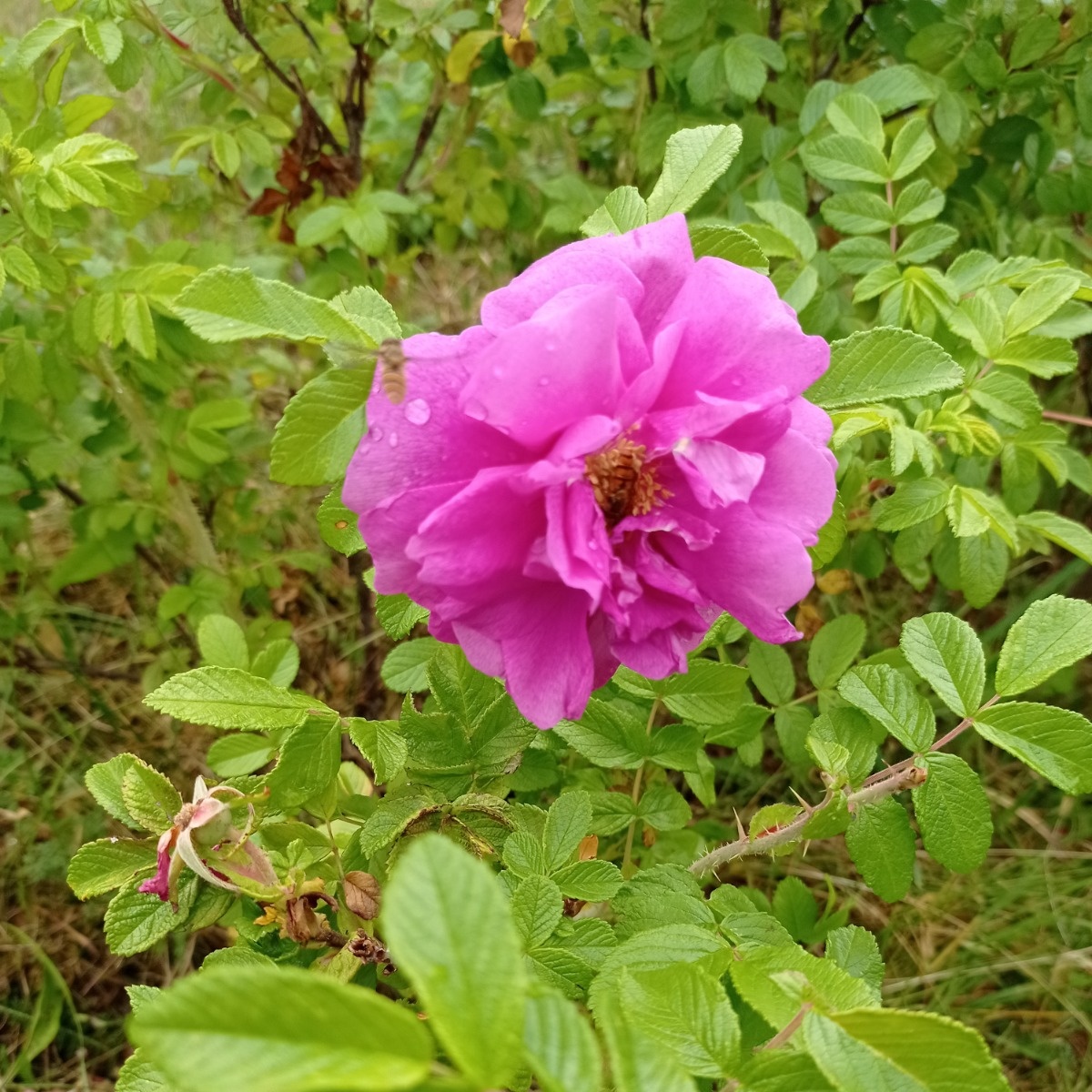 3c6d082c-3458-47bb-96b7-d6b5e6c6aac3