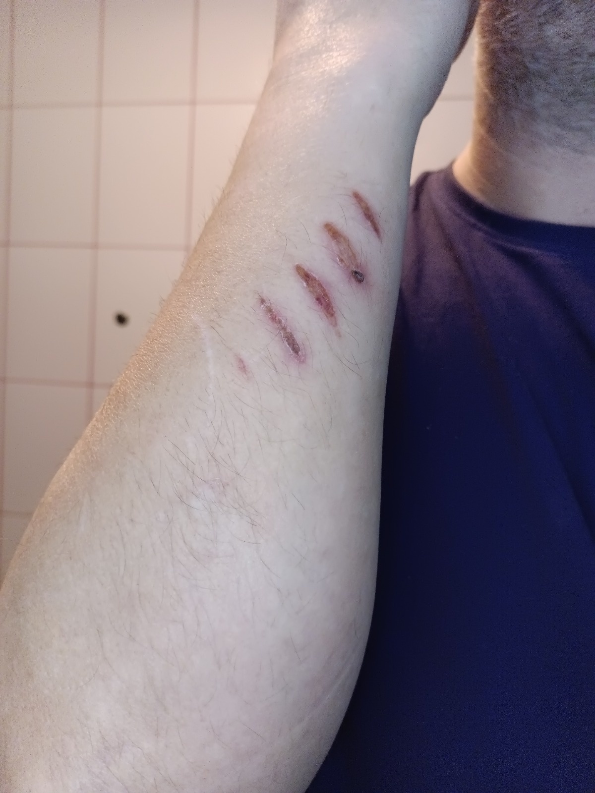 99475024-b137-40ed-b600-f560b6e96ca7