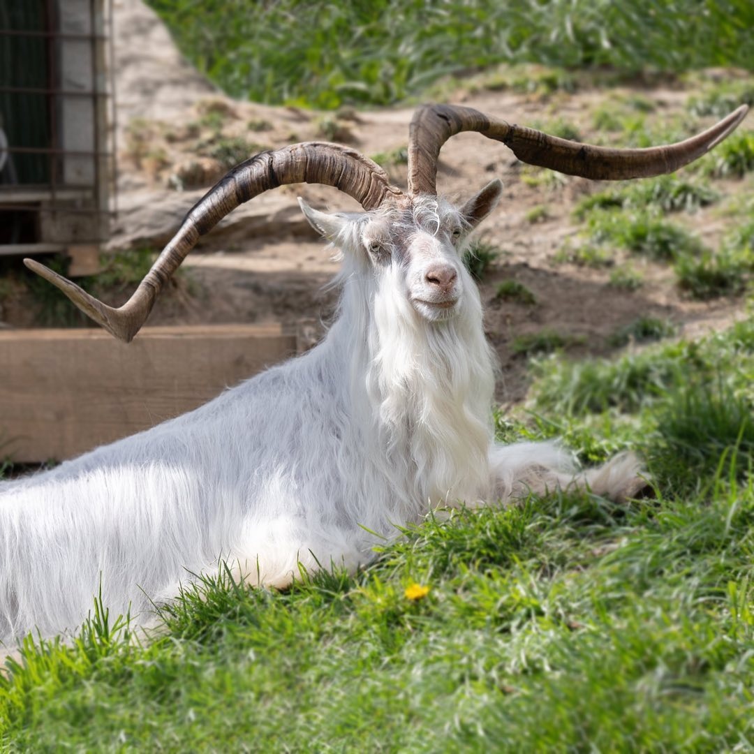 c559dd67-03fb-42ae-8f60-f337bd406ff6