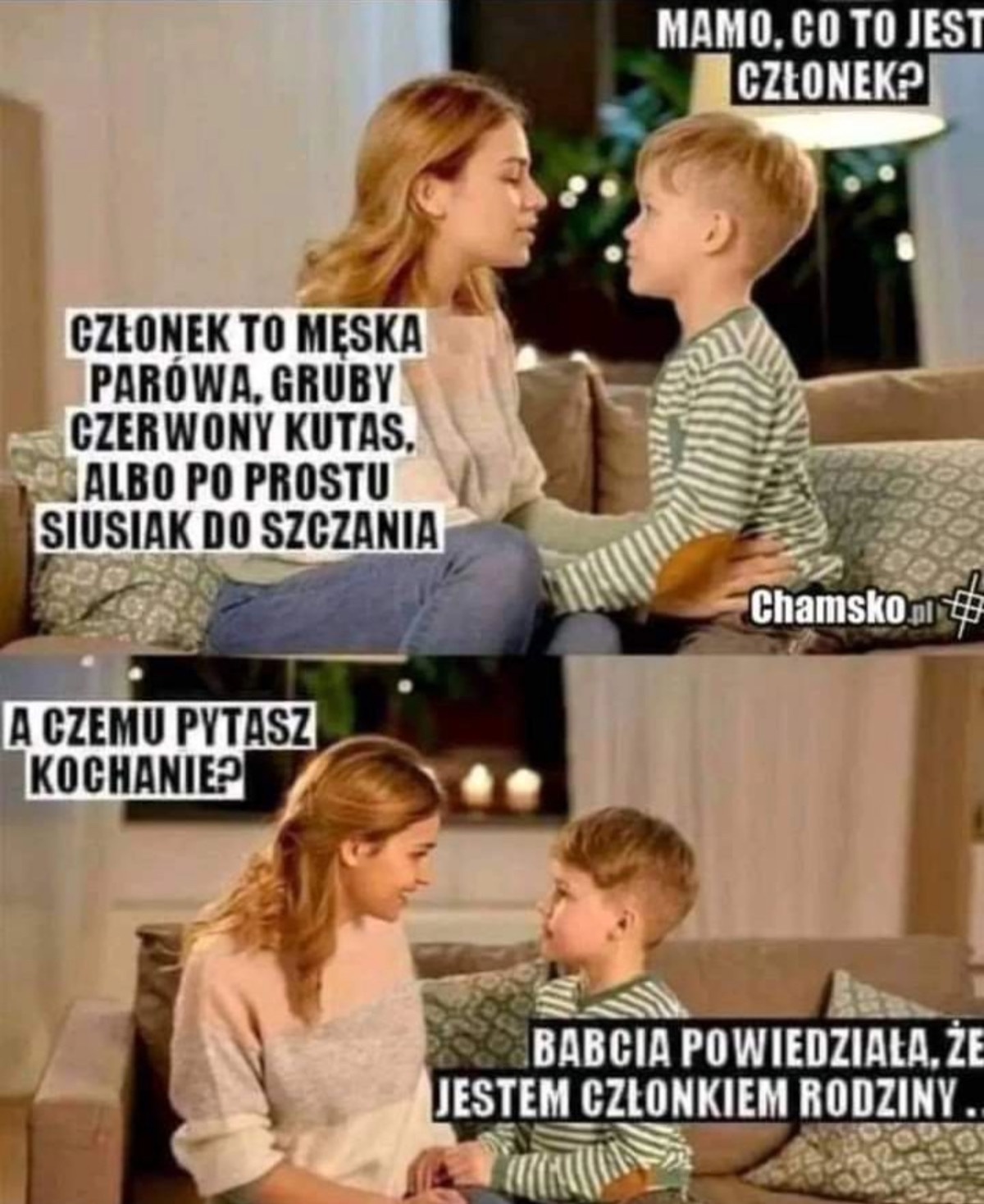 5bb20917-5b9b-4c44-80ab-97017444d464