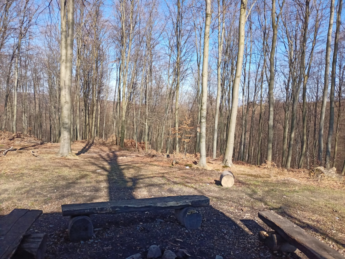 fc784e7d-526f-4473-90f5-3124d5971097