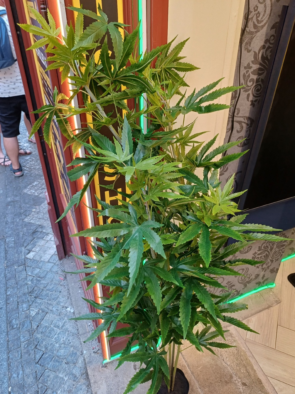 70299cde-8786-4e21-a3d9-a8f90599bd19