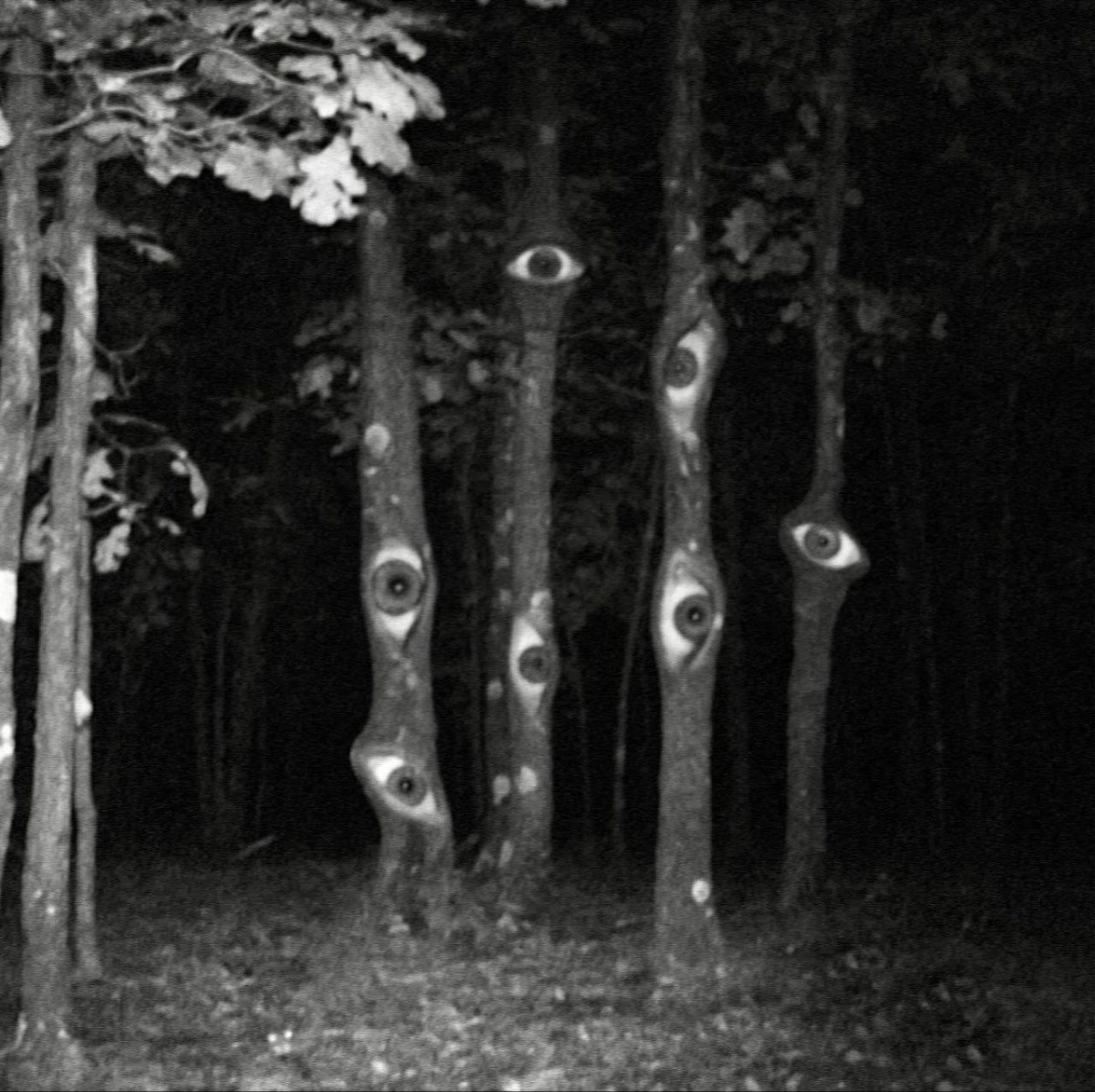 6e5d8fb7-9e77-47ab-9176-9b1c5b3a8a3b