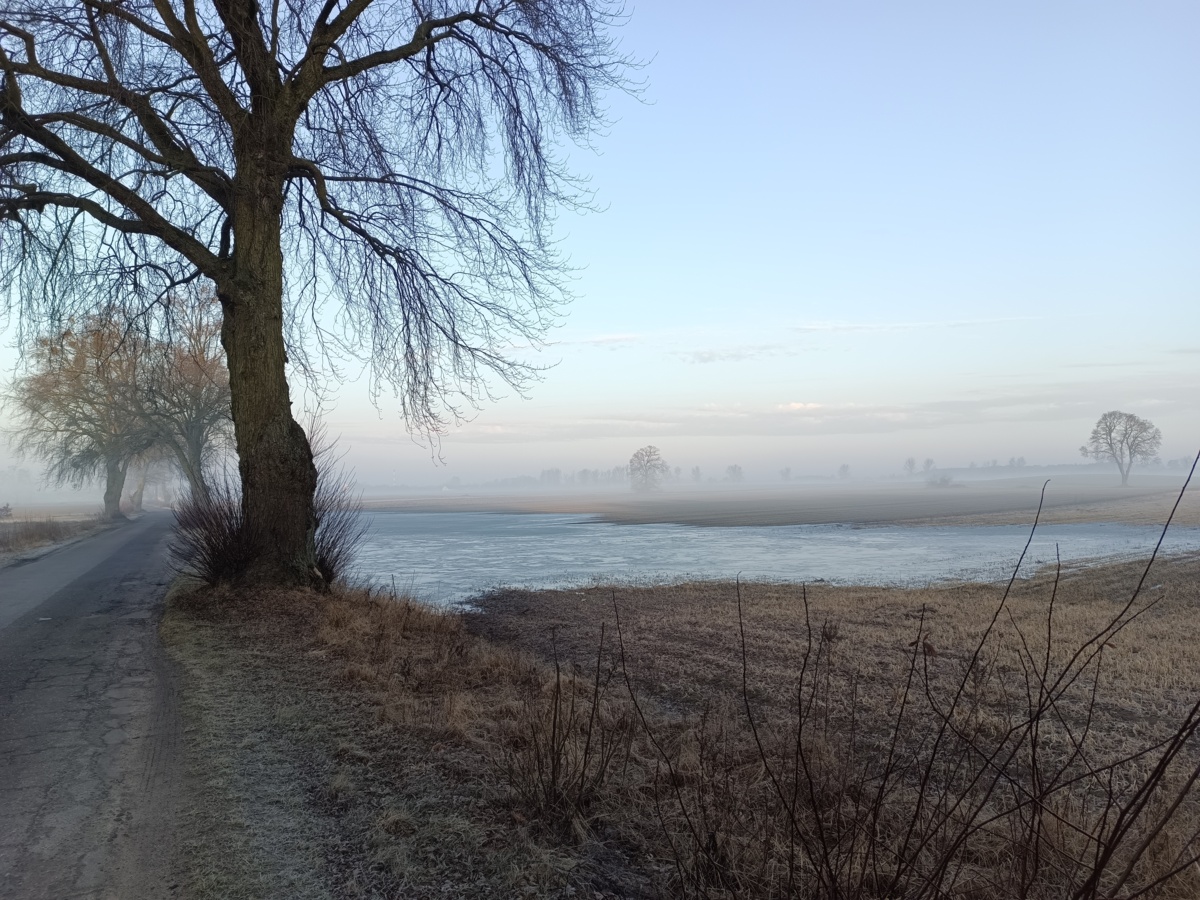 6ea0237e-5c4b-463c-bfd7-e8285c5b4749