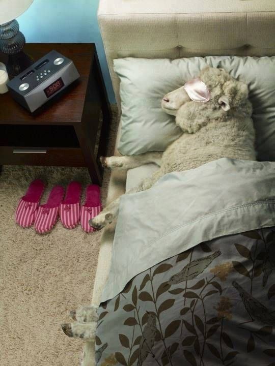 37d4aef0-07a7-42ee-9def-80e2bbd86bbe