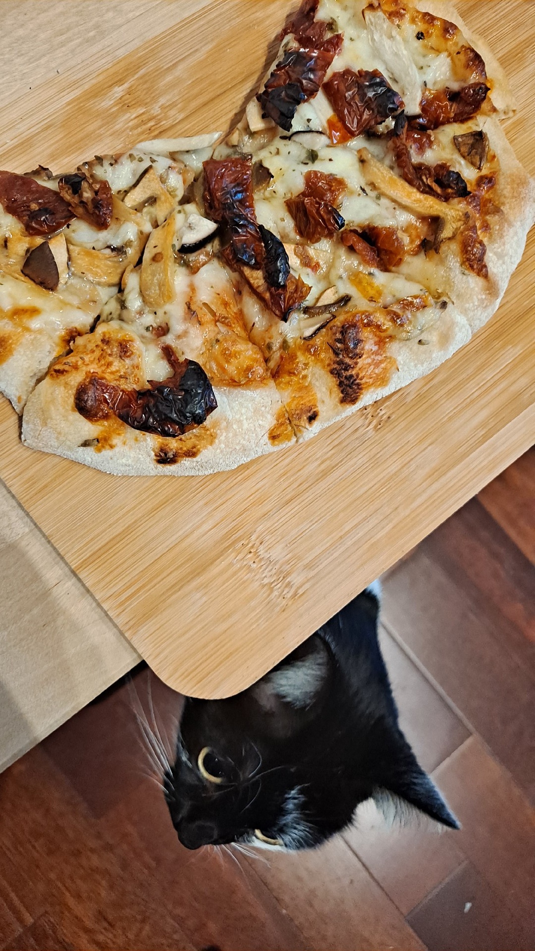 95aed545-dd98-42e0-a038-153656bfb3c7