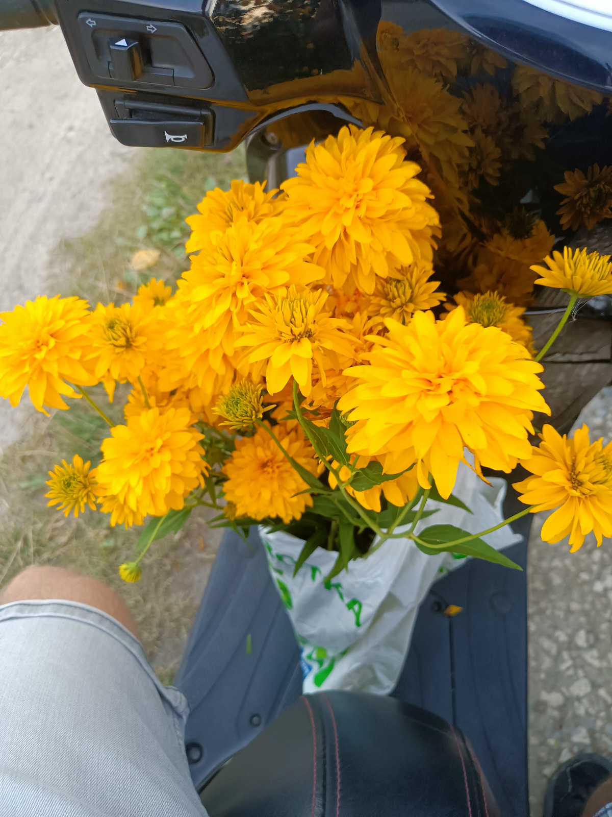 9ff28a37-aaae-45e9-8f60-14e042e97f0c