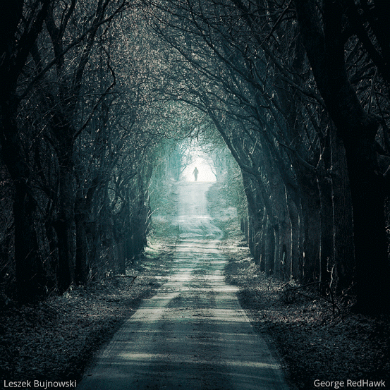 11e97653-09a0-4b89-b4d1-934dde6dabe7