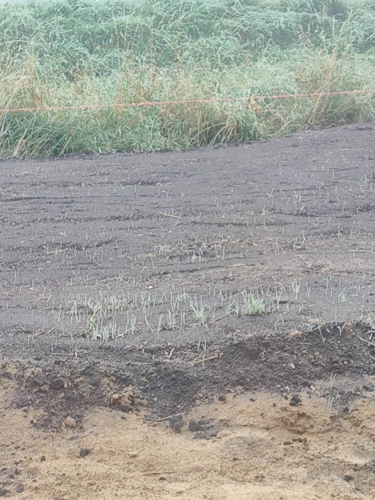 d20d0c52-56b2-4269-9e3d-4f613dd708cb