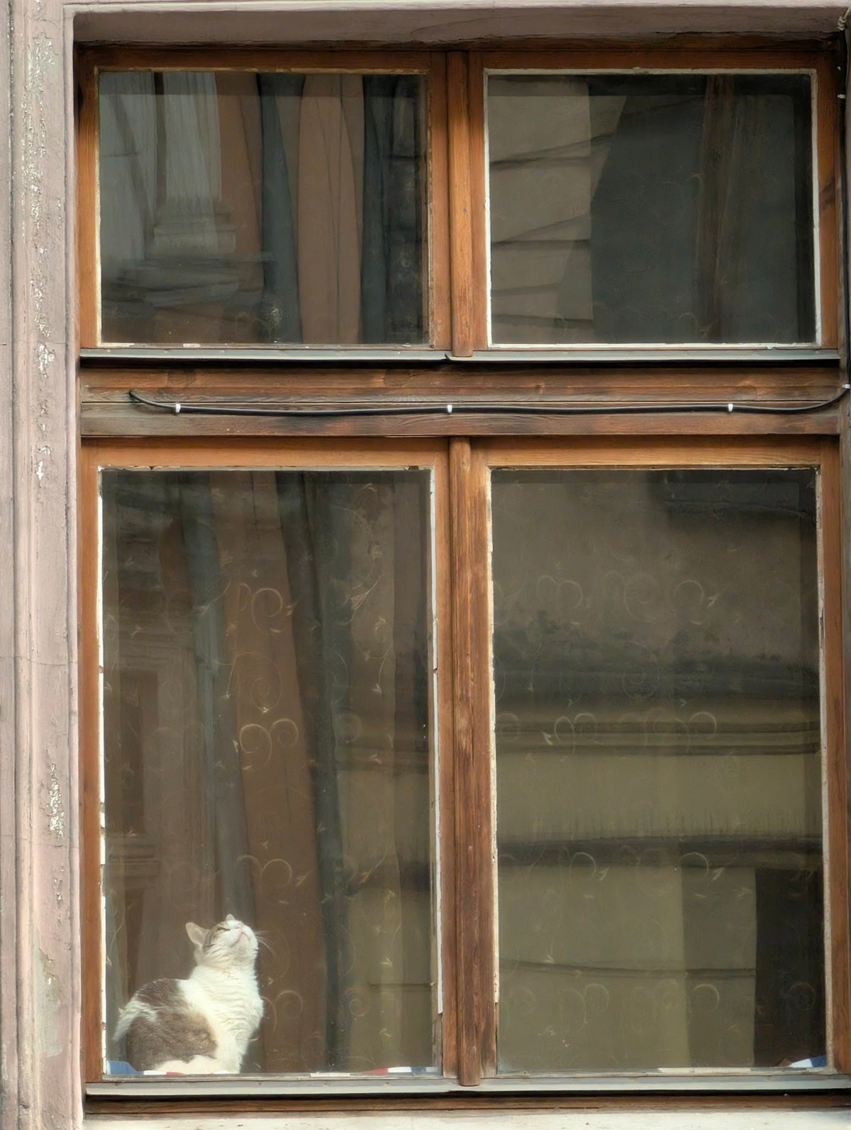 33e98b42-dbda-4bb5-ba90-8e4de2a068e4