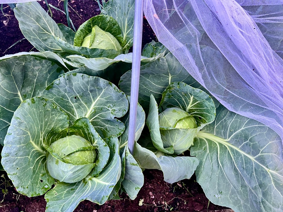 94f731ee-f7c9-46ff-ac19-c87eb14f2c37