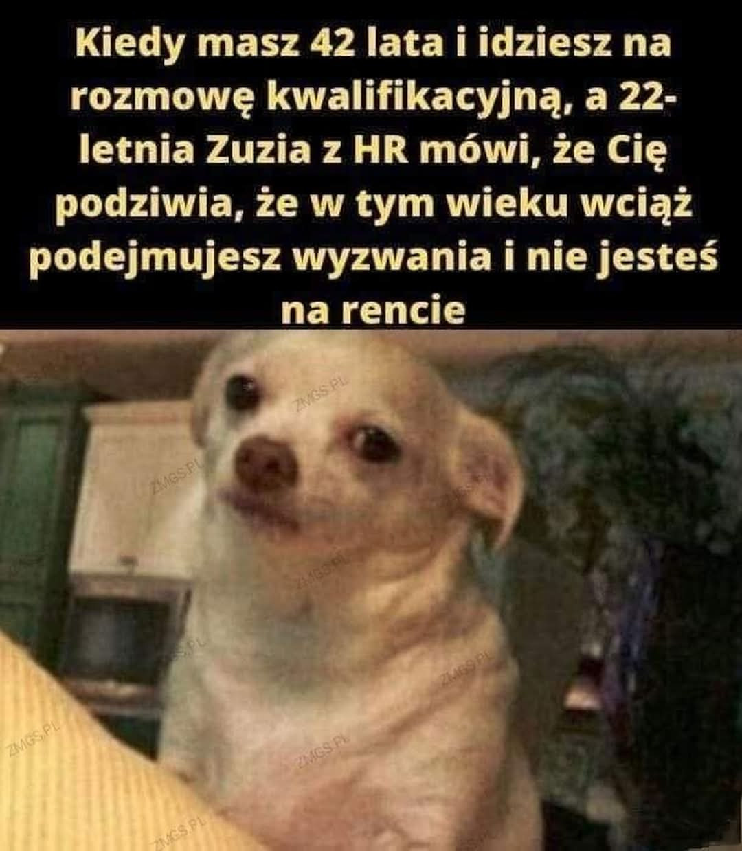 72ffbc9b-4e8a-454d-b61b-3c5233569979